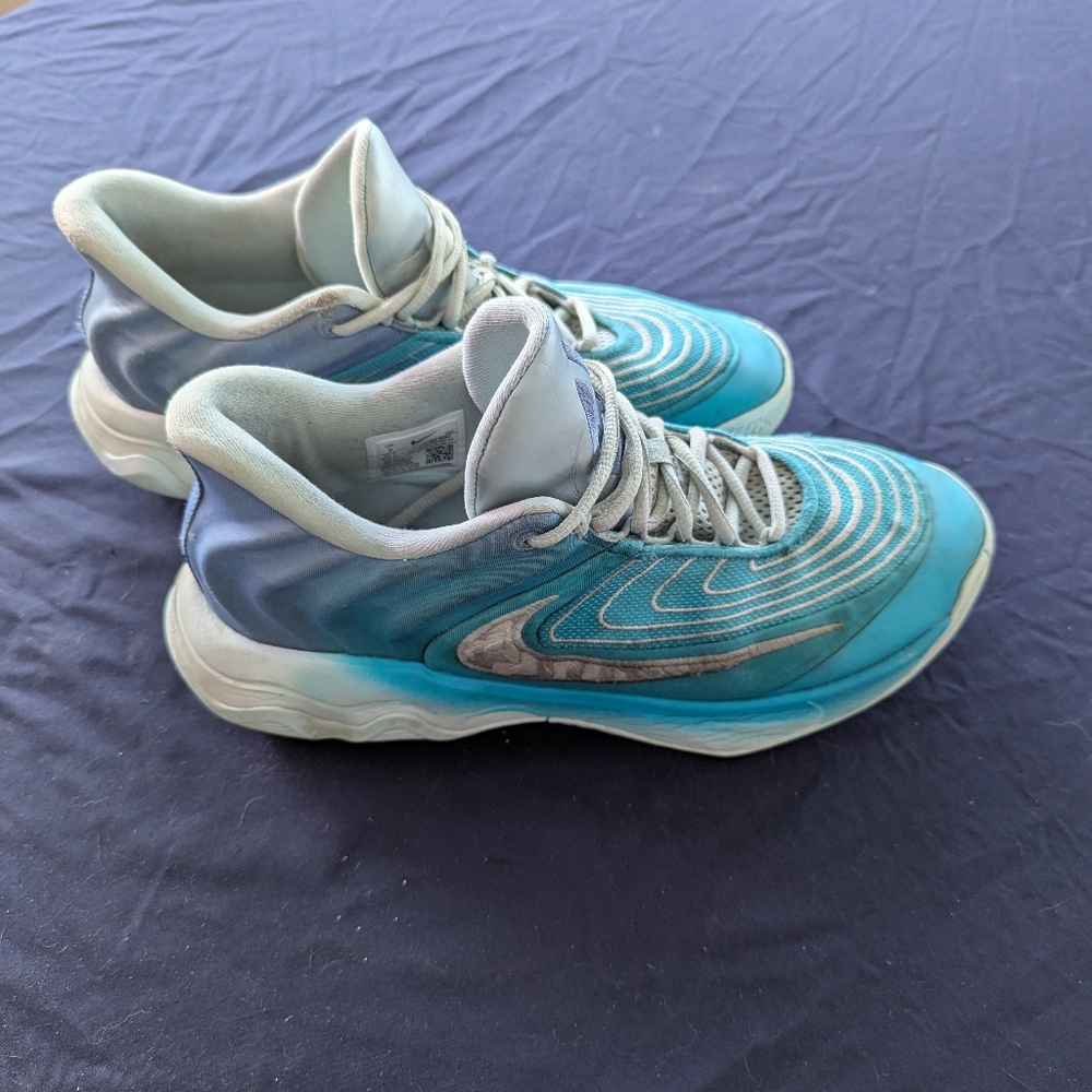 Nike Blue and White Sneakers